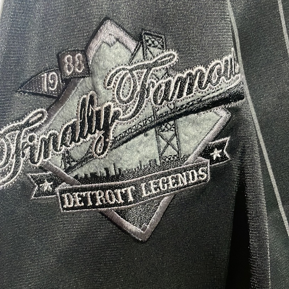 Finally Famous Jacket - Picture 3 of 6